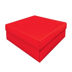 15.7x15.7x9.7cm Gift Box 10 Pieces - koliciabla