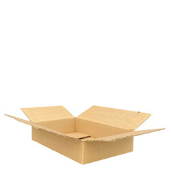 45x30x10cm Double Corrugated Box - koliciabla