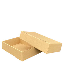 Box with Lid 27.5x20x6.8cm - 