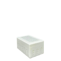 Styrofoam Box 1/2Kg D1 - 