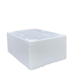 Styrofoam Box 10 Kg - B2 - 